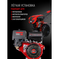 Двигатель GARDEN BS-450 12.5 кВт/17 л. с. VERTON 01.5985.8656