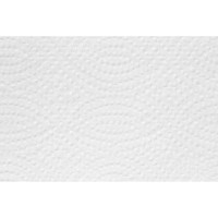Полотенца бумажные д/дисп. Luscan PROFESSIONAL Luscan Professional Z слож2 сл144л20пач/уп 368531