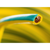 Провод заземления TWT сечением 6.0 мм2, 100 м EARTH-W6.0-100