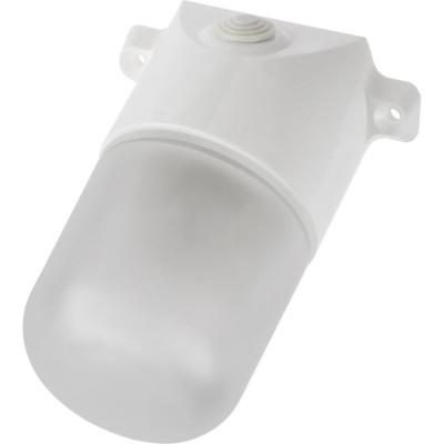 Светильник TDM ELECTRIC НПБ400-1П настенный, наклонный белый, IP54, 60 Вт, поликарбонат, SQ0303-1502