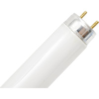 Линейная люминесцентная лампа Osram L 36W/77 CRP RU 4058075402805