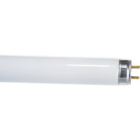 Линейная люминесцентная лампа Osram BASIC T8 18Вт 6500К G13 4008321959669