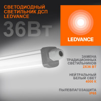 Пылевлагозащищенный светильник LEDVANCE ДСП, ECO CLASS SLIM DP, 36W, 840, 230V, 65, 20X1 4058075169128