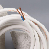 Провод TDM ELECTRIC ПВС 2х2,5 ГОСТ 5м, белый SQ0118-0004