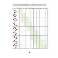 Конструктор опалубки BeFast СТЯЖКА М комплект 2 штуки с клипсами, 50 компл. USMS50S