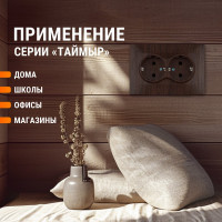 Розетка TDM ELECTRIC двойная 2П+З 16А 250В "ЭКО" бук "Таймыр" SQ1814-0314