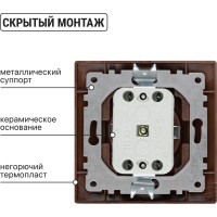 Розетка TDM ELECTRIC 2П+З 16А 250В "ЭКО" бук "Таймыр" SQ1814-0312