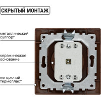Розетка TDM ELECTRIC 2П 10А 250В "ЭКО" бук "Таймыр" SQ1814-0311