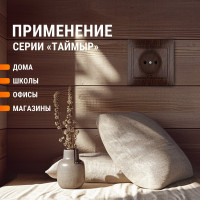 Розетка TDM ELECTRIC 2П 10А 250В "ЭКО" бук "Таймыр" SQ1814-0311