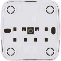 Розетка TDM ELECTRIC 2П открытой установки IP20 10А, белая "Дача" Народная SQ1824-0007