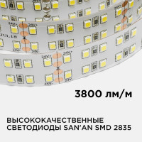 Светодиодная лента Apeyron 24В, 38Вт/м, smd2835, 240д/м, IP20, 3800Лм/м 00-304