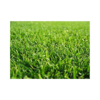 Газон АгроВелес УНИВЕРСАЛЬНЫЙ RichGreenSward Universal GRASS 15 кг AV10012