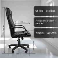 Компьютерное кресло CHAIRMAN 480 LT экопремиум черный 00-07000191