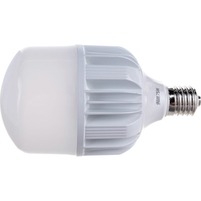 Gauss Лампа Elementary T140 75W 7000lm 4100K E40 Promo LED 1/12 60428