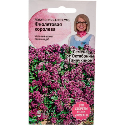 ОКТЯБРИНА ГАНИЧКИНА Алиссум лобулярия Фиолетовая королева 0,1 г 119035