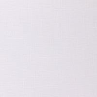 Рулонная штора PRAKTO Shantung 60х160см белый 7792225
