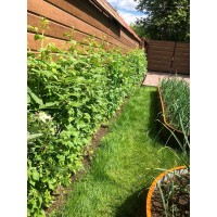 Опора для малины НАЙДИ коричневая GO8014