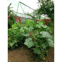 Шпалера для огурцов НАЙДИ GOG6018
