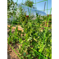 Шпалера для огурцов НАЙДИ GOG6018