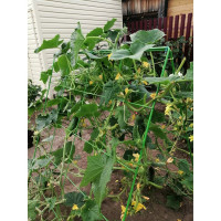 Шпалера для огурцов НАЙДИ GOG6018