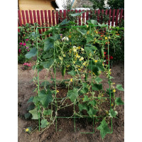 Шпалера для огурцов НАЙДИ GOG6018