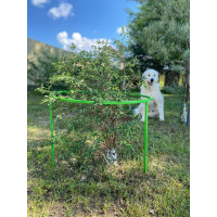 Кустодержатель смородины и крыжовника НАЙДИ GKS6018