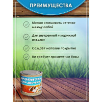 Пропитка для дерева White House (бесцветная; 3 л) 16569