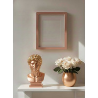 Аэрозольная акриловая краска Siana High Quality для мебели, декора, металла, пластика, керамики, стекла, гипса, сухоцветов, цветов, быстросохнущая, розовое золото SNM003