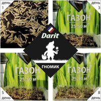 Газон DARIT Гномик 900 г 115631