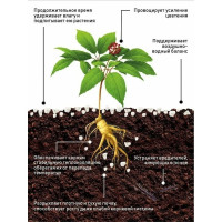 Агроперлит Сила Суздаля 7 л 4680004061151