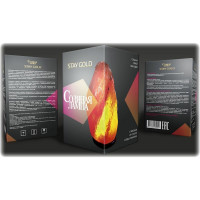 Соляная лампа STAY GOLD 3-4 кг с диммером SG-3-4-Д