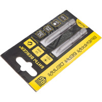 Биты магнитные PZ1, 50 мм, 2 шт, S2 Berger BG BG2401