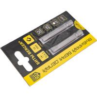 Биты магнитные SL1.2x6.5, 50 мм, 2 шт, S2 Berger BG BG2411