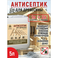 Антисептик для древесины концентрат 1:1 трудновымываемый бесцветный РЕКОРД 5 л АС1