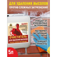 Очиститель для удаления высолов РЕКОРД 5 л УВ02
