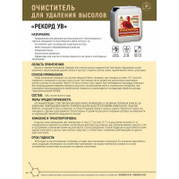 Очиститель для удаления высолов РЕКОРД 10 л УВ03