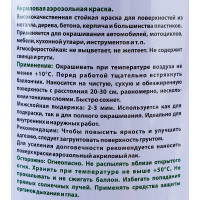 Аэрозольная краска Veslee черный матовый RAL 9005 V9005m