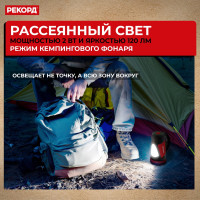 Аккумуляторный светодиодный фонарь-прожектор РЕКОРД PB-2600 24286