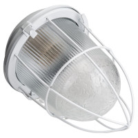 Светильник ЭРА НСП 02-100-003 с решеткой Желудь сталь стекло IP54 E27 max 100Вт белый Б0052019