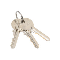 Цилиндр замка ANBO 2200 ключ/ключ, английский, 3 ключа, никель 4040 l3597 ANBO22004040