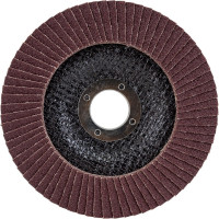 Диск лепестковый (125х22 мм; Р100) VOREL 07987