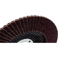 Диск лепестковый (125х22 мм; Р100) VOREL 07987