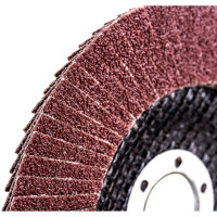 Диск лепестковый (125х22 мм; Р80) VOREL 07986