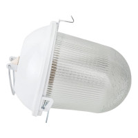 Светильник без решетки ЭРА Желудь сталь/стекло IP54 E27 max 100Вт 170х260 белый Б0052017