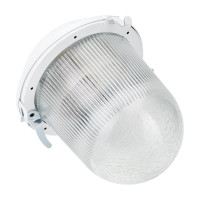 Светильник без решетки ЭРА Желудь сталь/стекло IP54 E27 max 100Вт 170х260 белый Б0052017