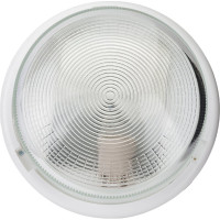 Светильник с ободком ЭРА НБО 05100001 Рондо пластик/стекло E27 max 100Вт круг белый Б0053071