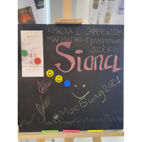 Аэрозольная магнитная, грифельная краска для досок и стен Siana SNMG001