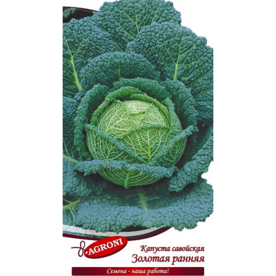 Савойская капуста семена Агрони ЗОЛОТАЯ РАННЯЯ 3912