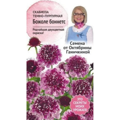 Скабиоза семена ОКТЯБРИНА ГАНИЧКИНА Божоле боннетс 119679