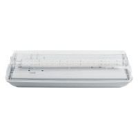 Аварийный светильник FERON 20 LED AC/DC, белый, EM101 41536